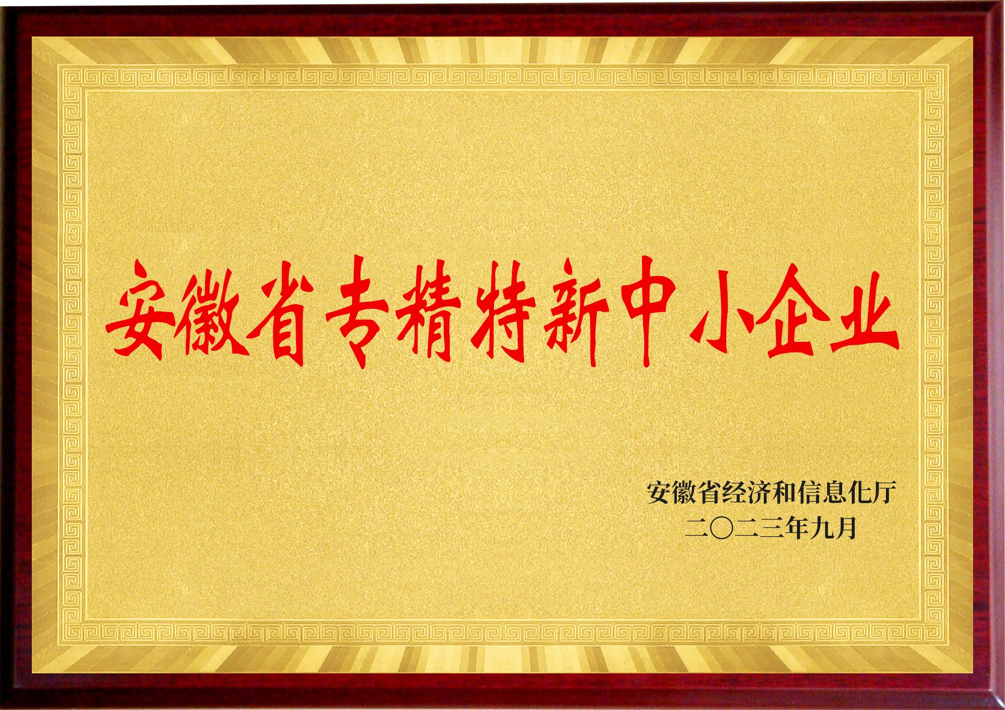 安徽省專精特新中小企業(yè)