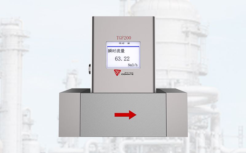 TGF200熱式氣體質(zhì)量流量計(jì)
